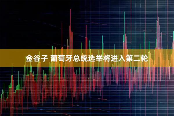 金谷子 葡萄牙总统选举将进入第二轮