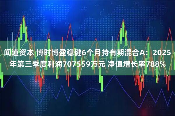 闻道资本 博时博盈稳健6个月持有期混合A：2025年第三季度利润707559万元 净值增长率788%